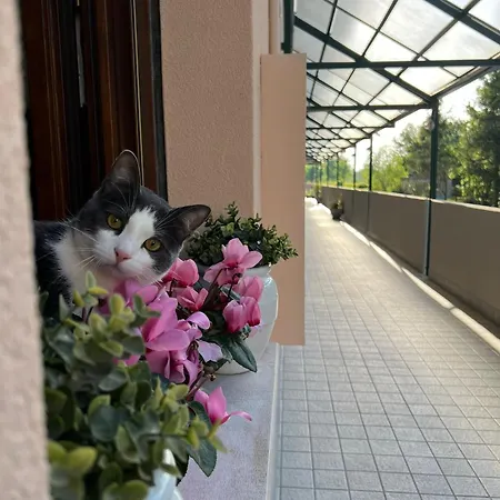 Appartement Sangiuliano *